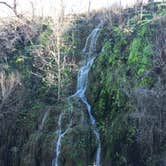 Review photo of Colorado Bend State Park Campground by J E., June 12, 2019