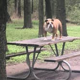Review photo of McKinney Falls State Park Campground by J E., June 12, 2019