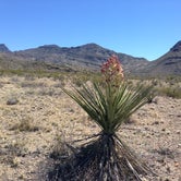 Review photo of Johnson Ranch — Big Bend National Park by J E., June 12, 2019