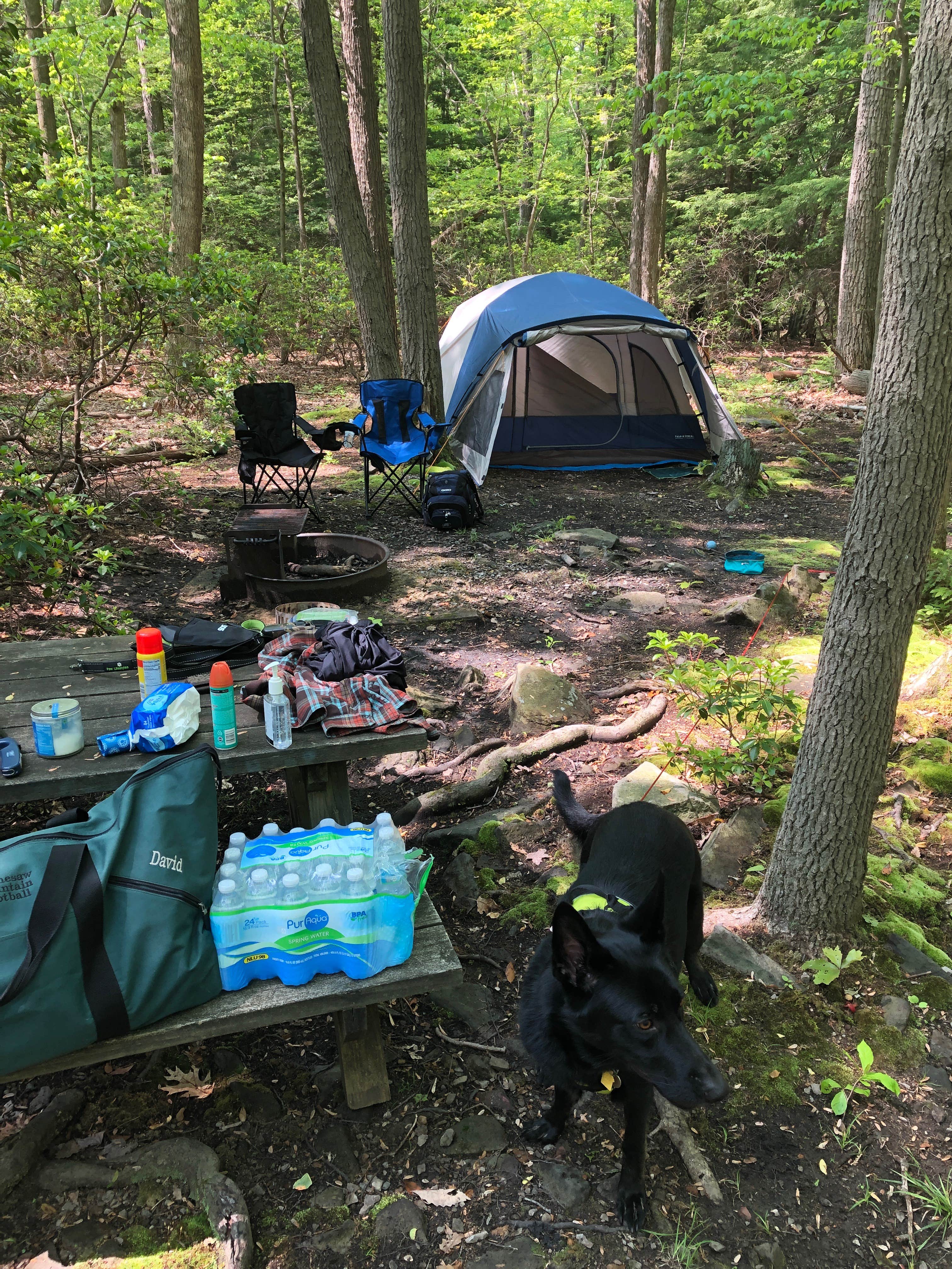 David F.'s photo at Coopers Rock State Forest near Paw Paw, WV