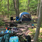 Review photo of Coopers Rock State Forest by David F., June 12, 2019