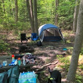 Review photo of Coopers Rock State Forest by David F., June 12, 2019