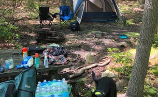 David F.'s photo at Coopers Rock State Forest near Grafton, WV