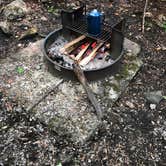 Review photo of Coopers Rock State Forest by David F., June 12, 2019