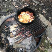 Review photo of Coopers Rock State Forest by David F., June 12, 2019