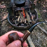 Review photo of Coopers Rock State Forest by David F., June 12, 2019