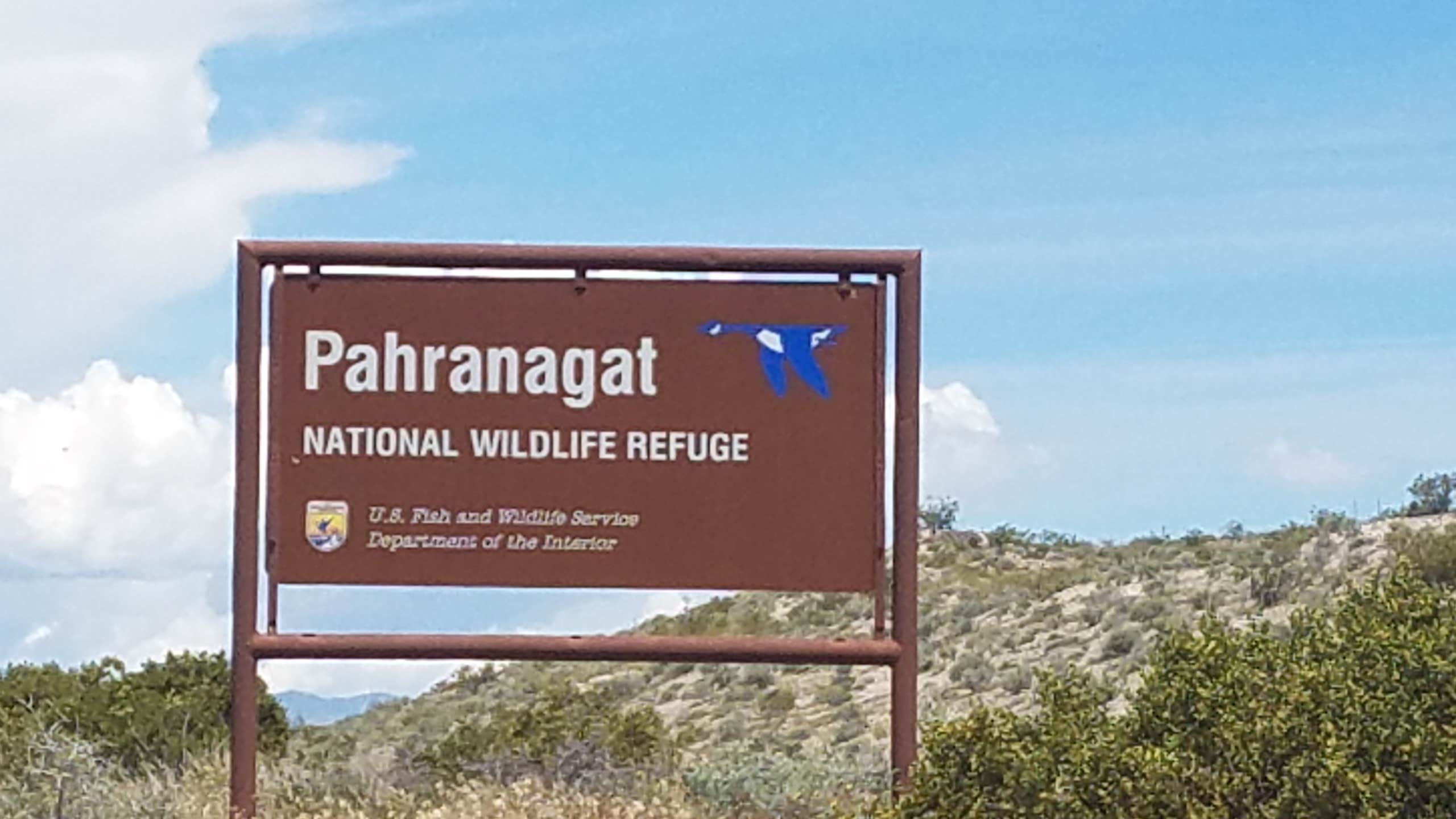 Camper submitted image from Upper Campground - Pahranagat National Wildlife Refuge - 4