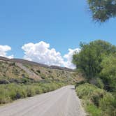 Review photo of Upper Campground - Pahranagat National Wildlife Refuge by Colette K., June 12, 2019