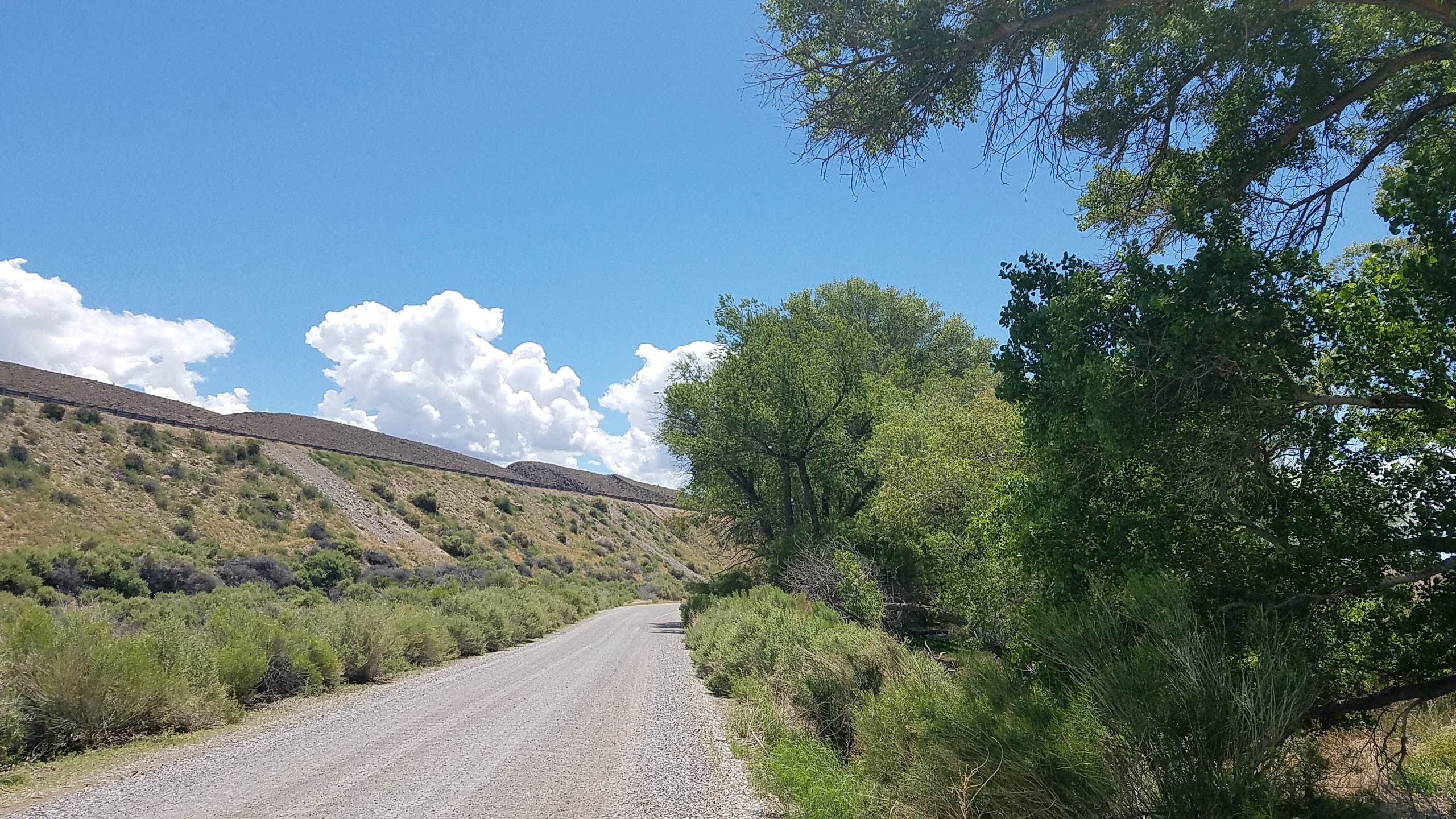 Camper submitted image from Upper Campground - Pahranagat National Wildlife Refuge - 3