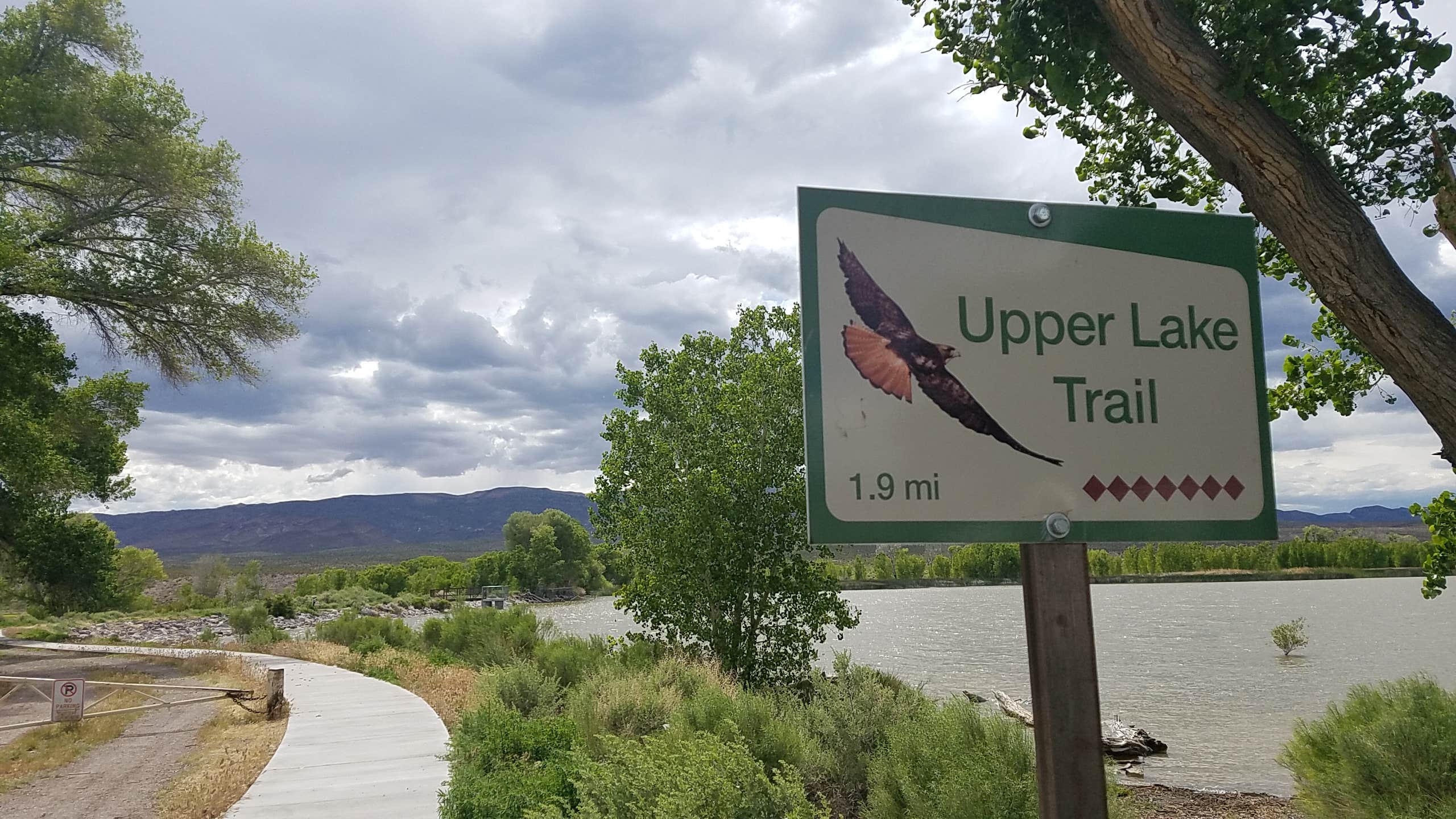 Camper-submitted photo at Upper Campground - Pahranagat National Wildlife Refuge in Nevada