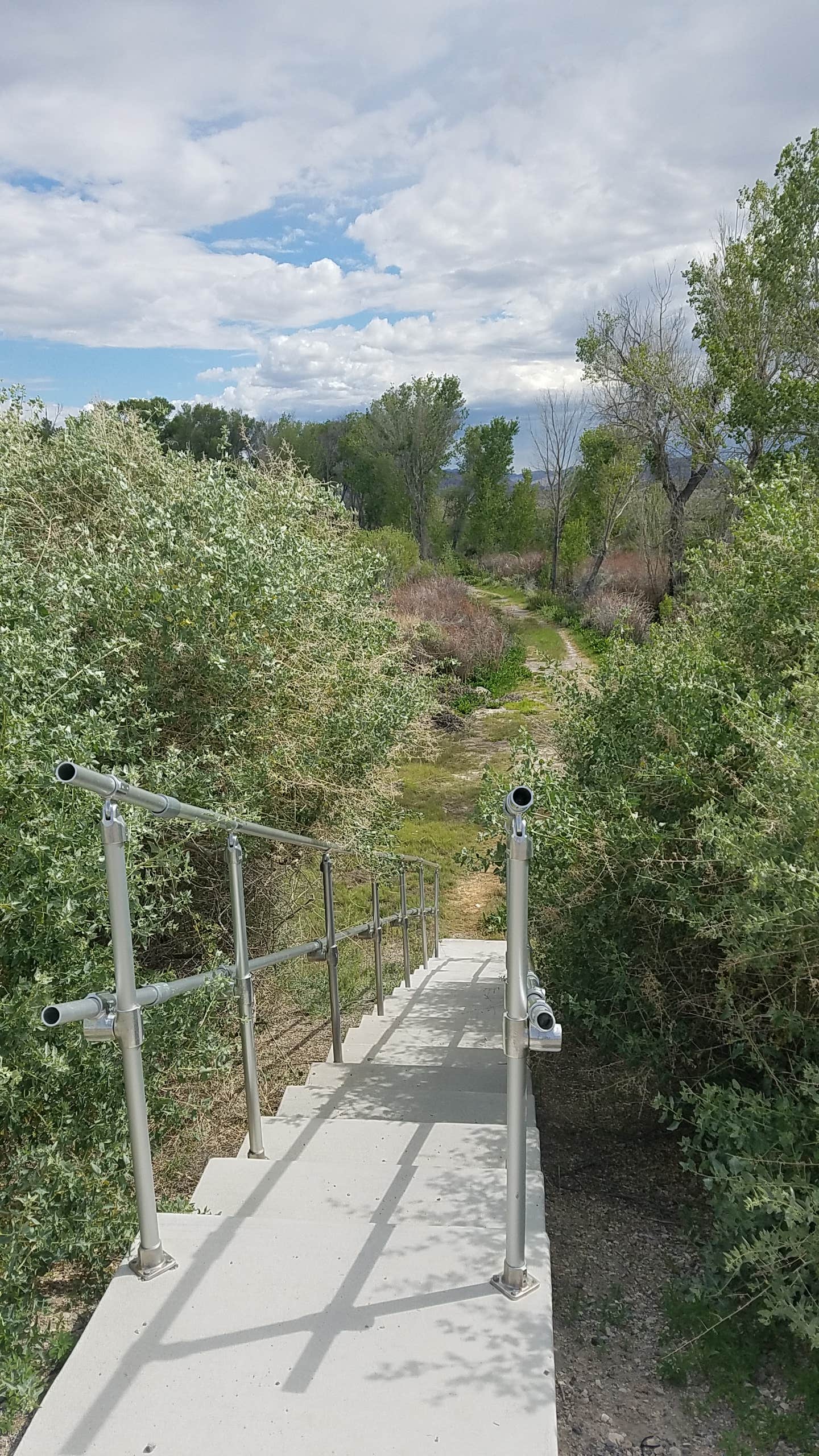 Camper-submitted photo at Upper Campground - Pahranagat National Wildlife Refuge in Nevada