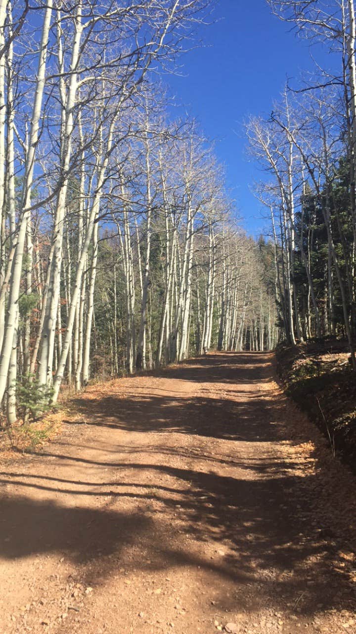 Camper submitted image from Mingus Ranch - 5
