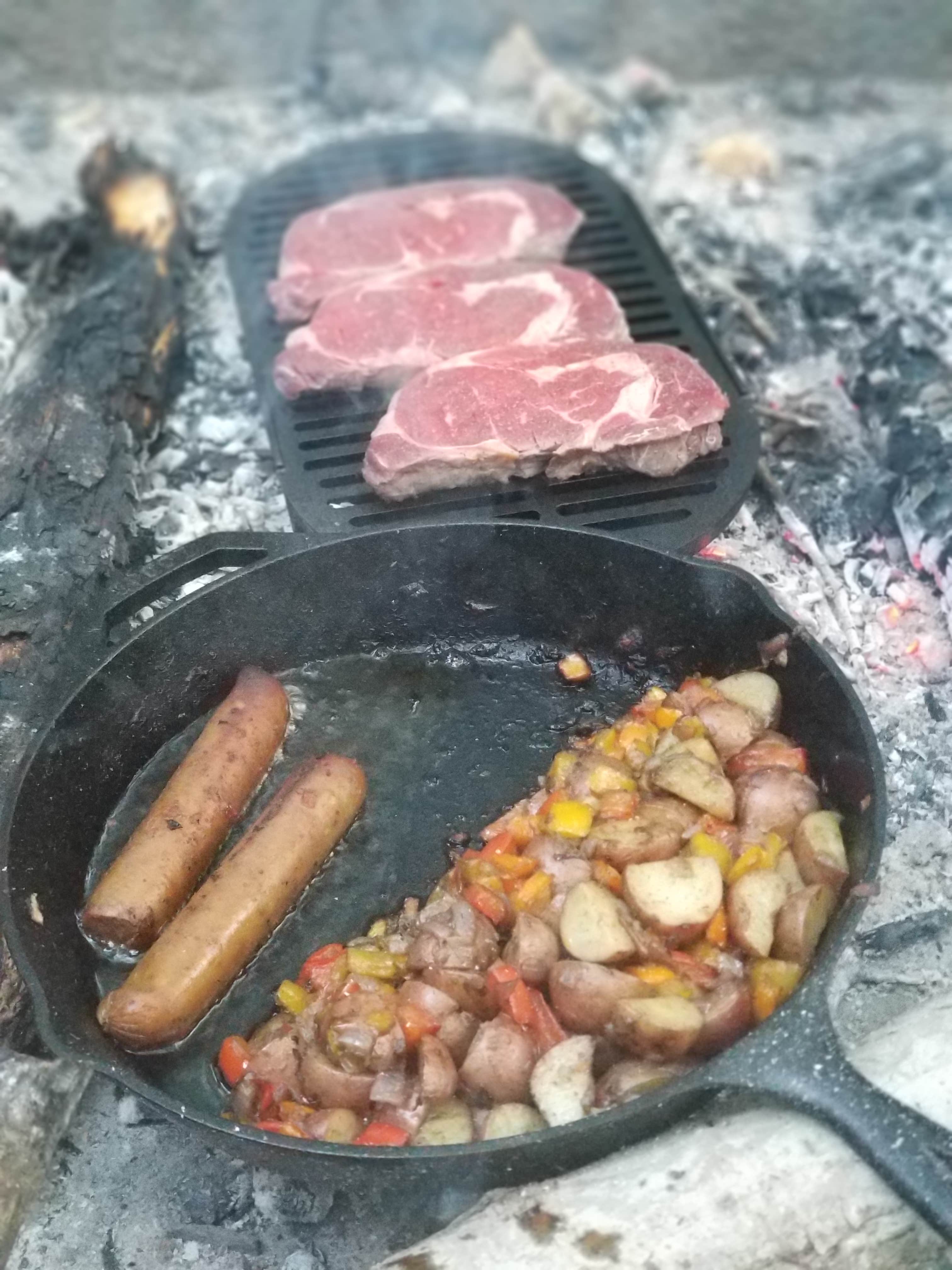 Camper-submitted photo at Family Campground — Merchants Millpond State Park near Creswell, NC