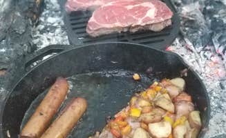 Clayton T.'s photo of camping with pets at Family Campground — Merchants Millpond State Park near Smithfield, VA