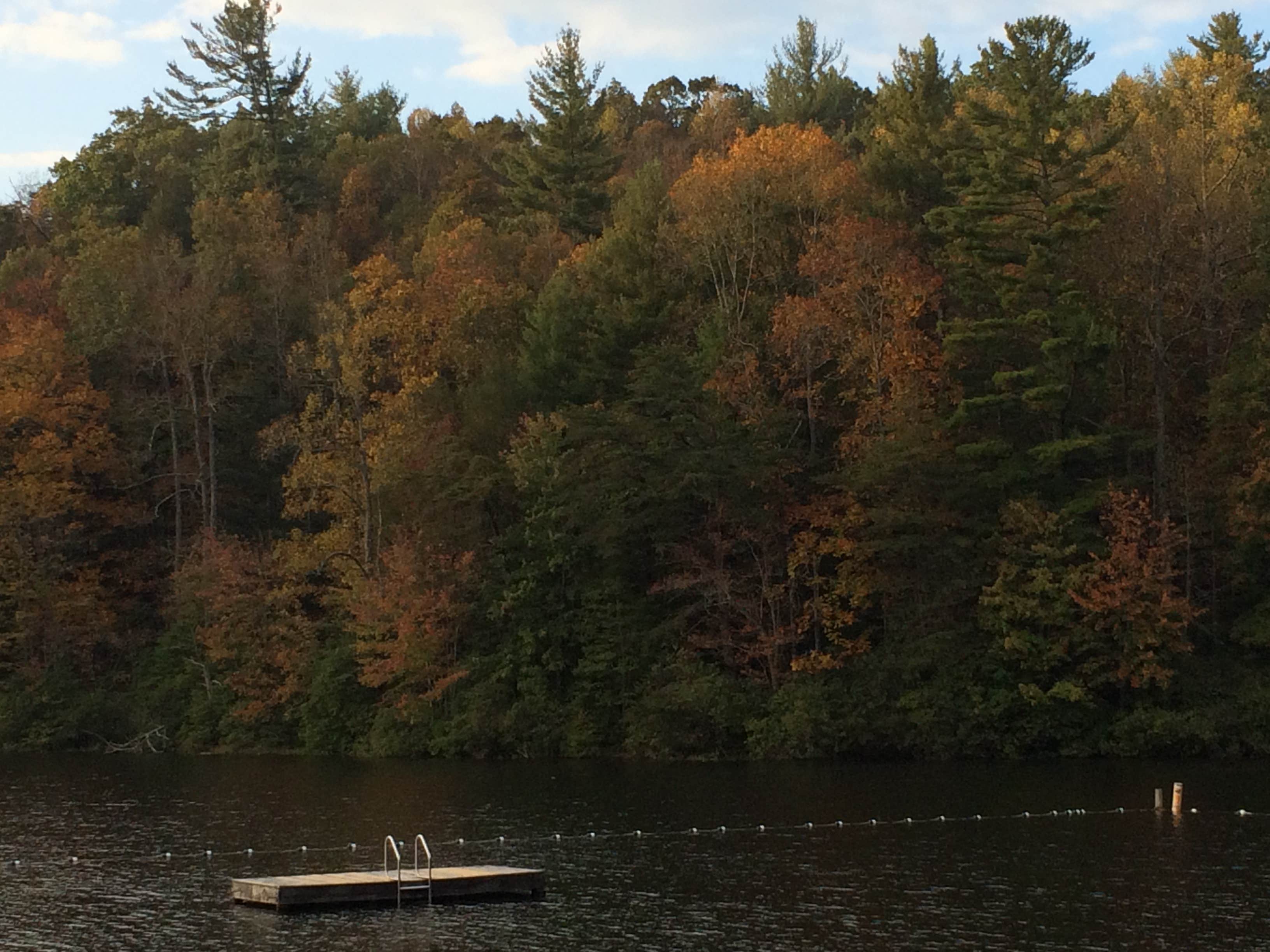 Camper submitted image from Lake Winfield Scott Campground - 2