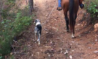 Camping near Your Tallapoosa River Hideaway!: Warden Station Horse Camp, Fruithurst, Alabama