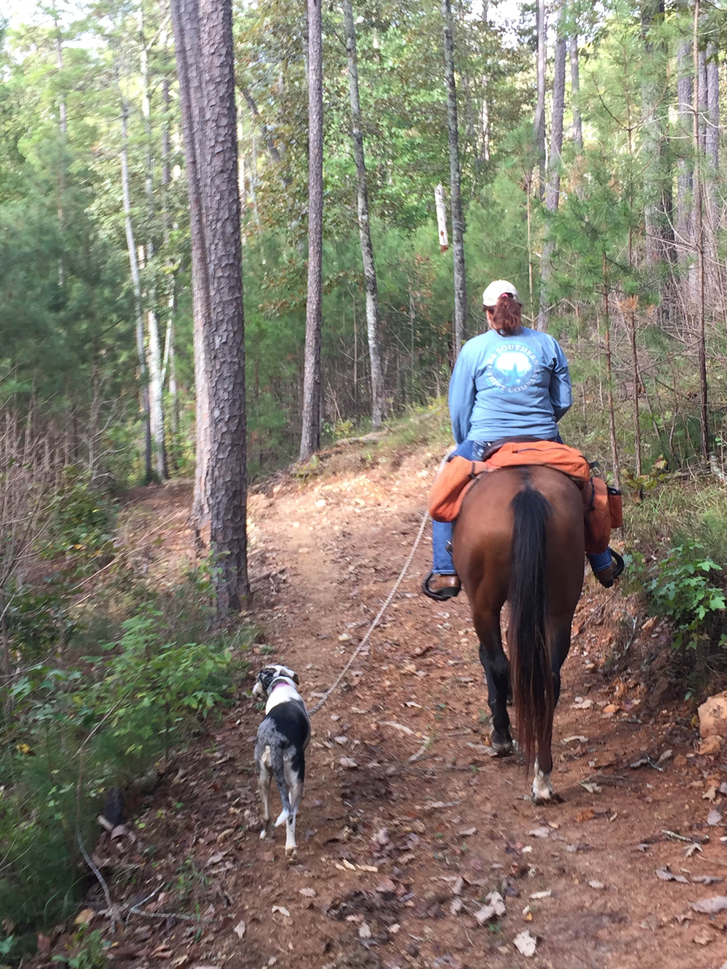 Camper submitted image from Warden Station Horse Camp - 1