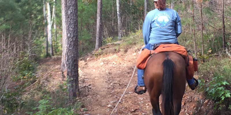 Camper submitted image from Warden Station Horse Camp