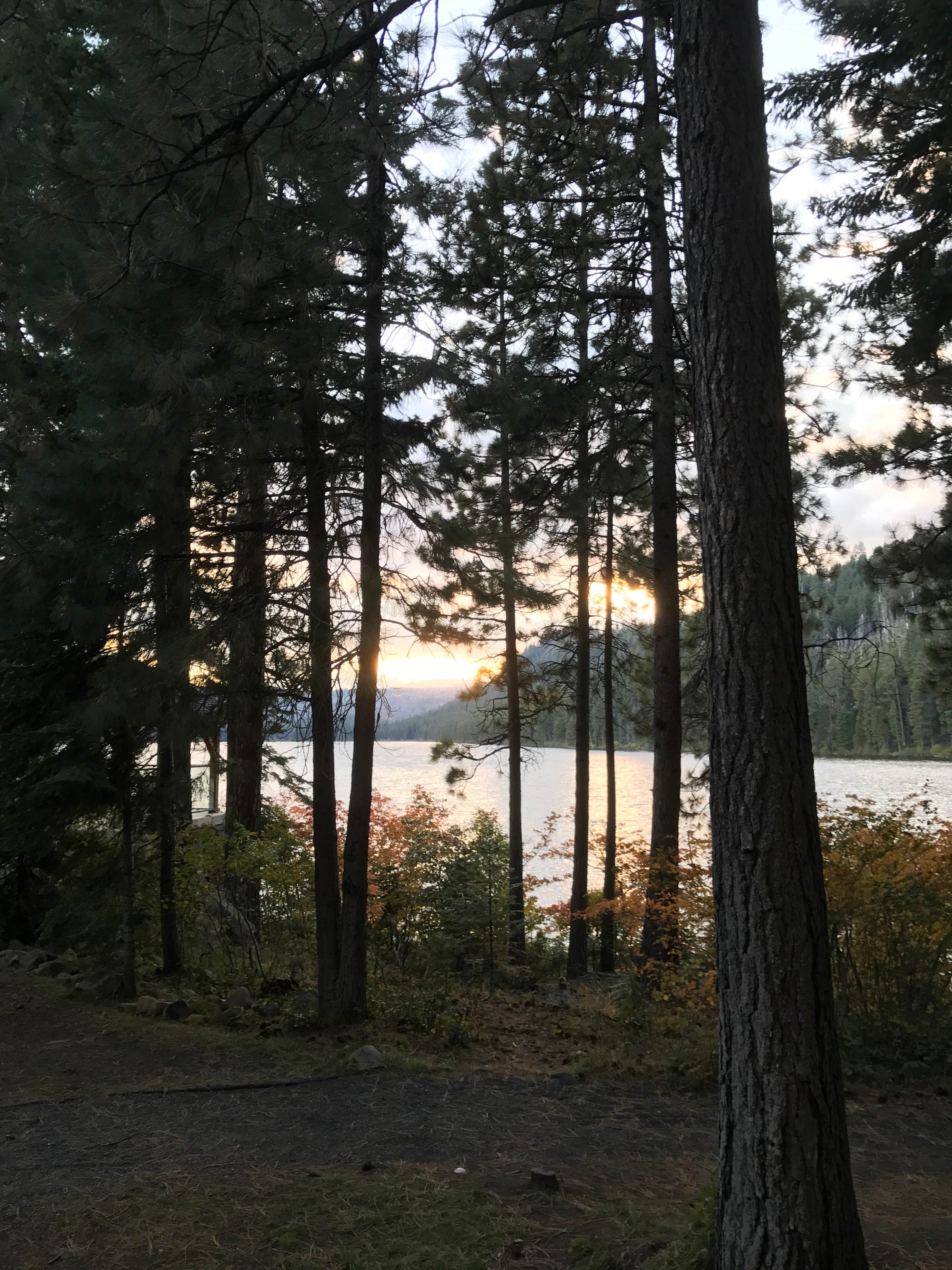 Glorious view down the lake toward Suttle Lake Lodge.