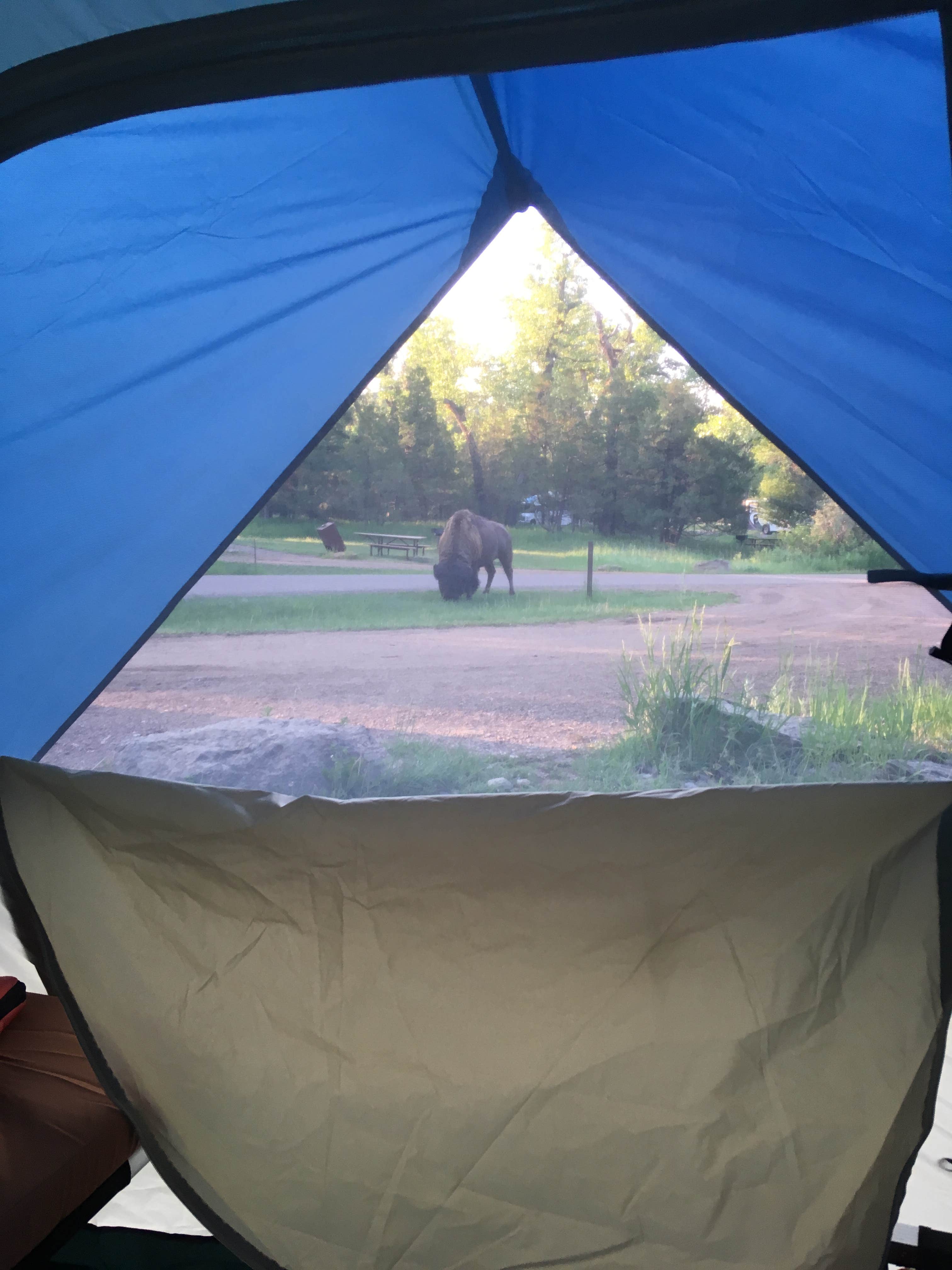 Glenn I.'s photo at Cottonwood Campground — Theodore Roosevelt National Park near Belfield, ND