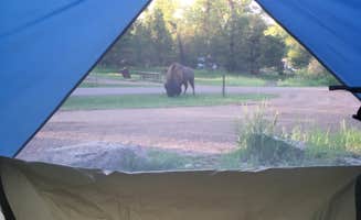 Glenn I.'s photo at Cottonwood Campground — Theodore Roosevelt National Park near Theodore Roosevelt National Park
