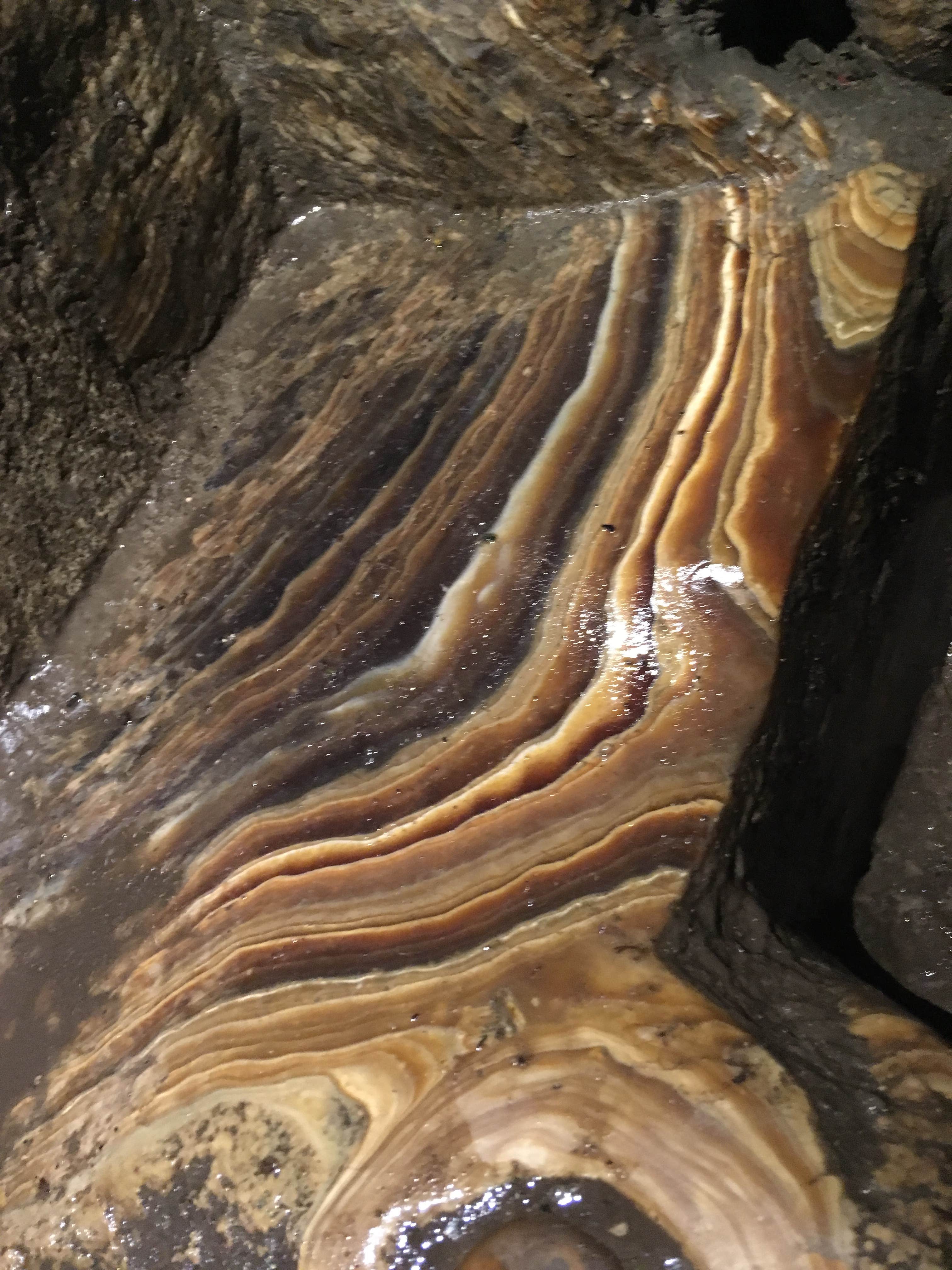 Camper-submitted photo at Lewis & Clark Caverns State Park — Lewis and Clark Caverns State Park near Boulder, MT