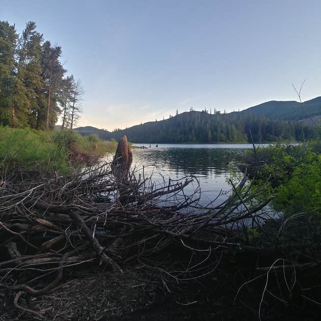 Lake Merrill- State Forest Camping | Cougar, WA