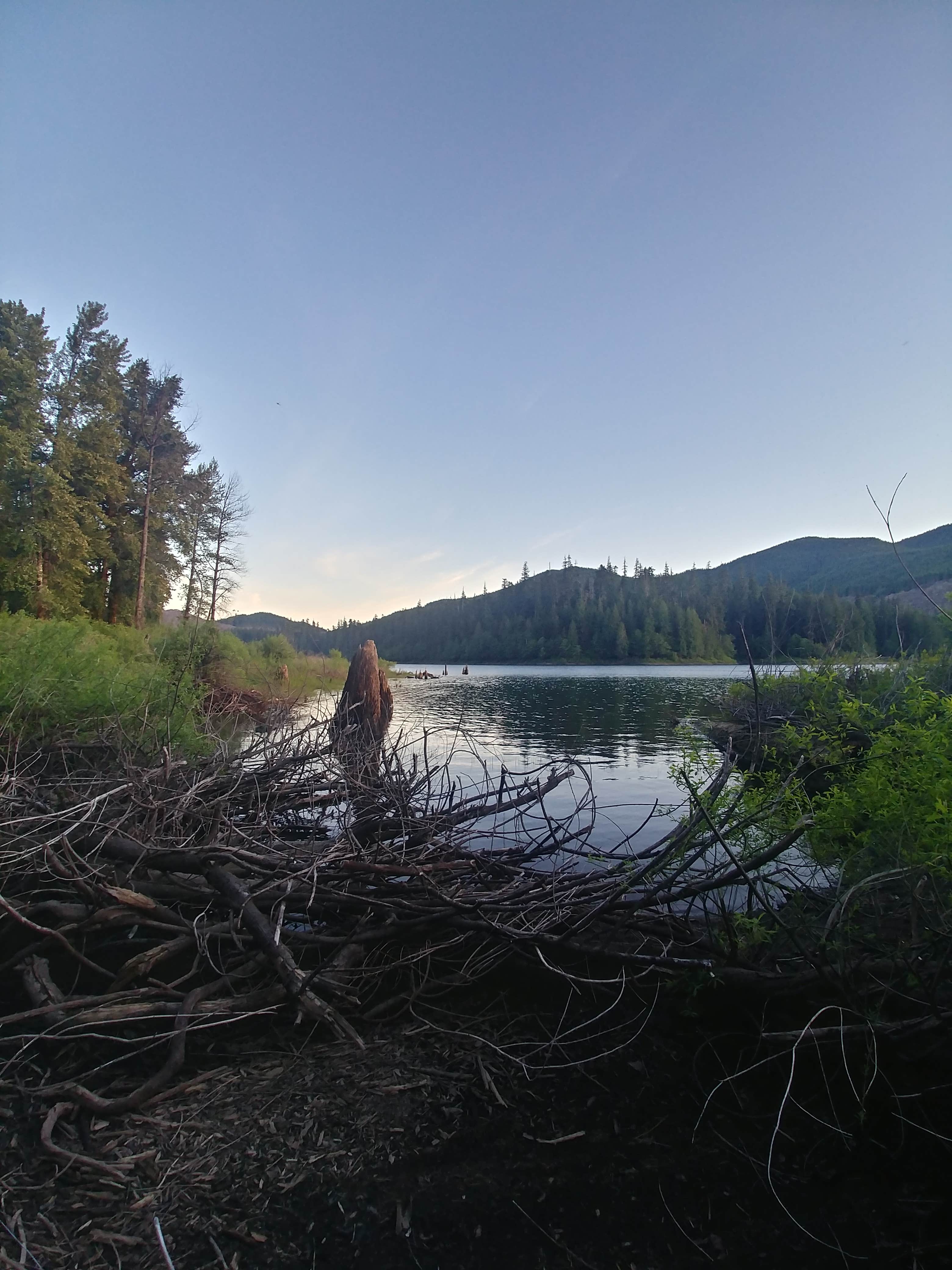 Camper submitted image from Lake Merrill- State Forest - 2