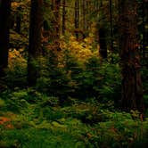 Review photo of Alder Flat by Eva W., September 1, 2015