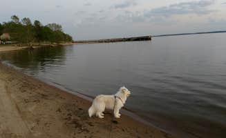Shelby L.'s photo of camping with pets at Palmetto Shores RV Resort near Ridgeville, SC