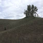 Review photo of Dunewood Campground — Indiana Dunes National Park by Nicole P., June 13, 2019