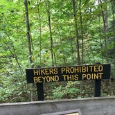 Review photo of Shades State Park Campground by Nicole P., June 13, 2019