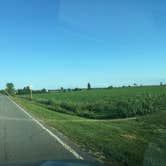 Review photo of Monty's Bay Campsites by Meag F., September 1, 2016
