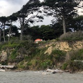 Review photo of Kalaloch Campground - group — Olympic National Park by Lee D., June 13, 2019