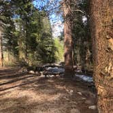 Review photo of Bishop Park Group (Ca) — Inyo National Forest by Hugh R., June 10, 2019