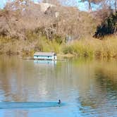 Review photo of Pinto Lake City Park by Shawnna B., June 13, 2019