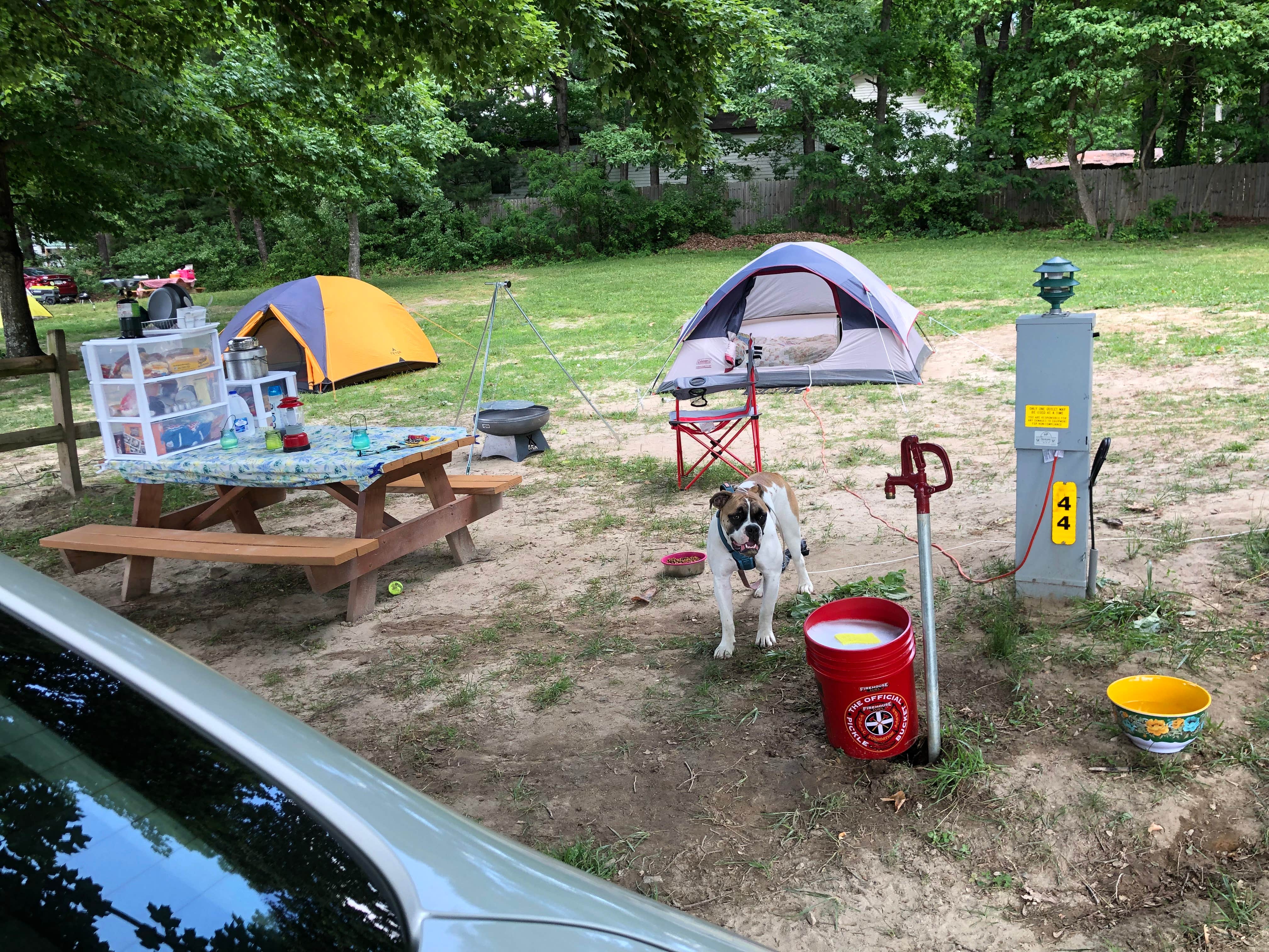 Shandi H.'s photo at Wytheville KOA near Dublin, VA