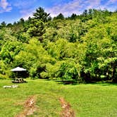 Review photo of Pisgah Forest Mountain Meadows by Myron C., June 13, 2019