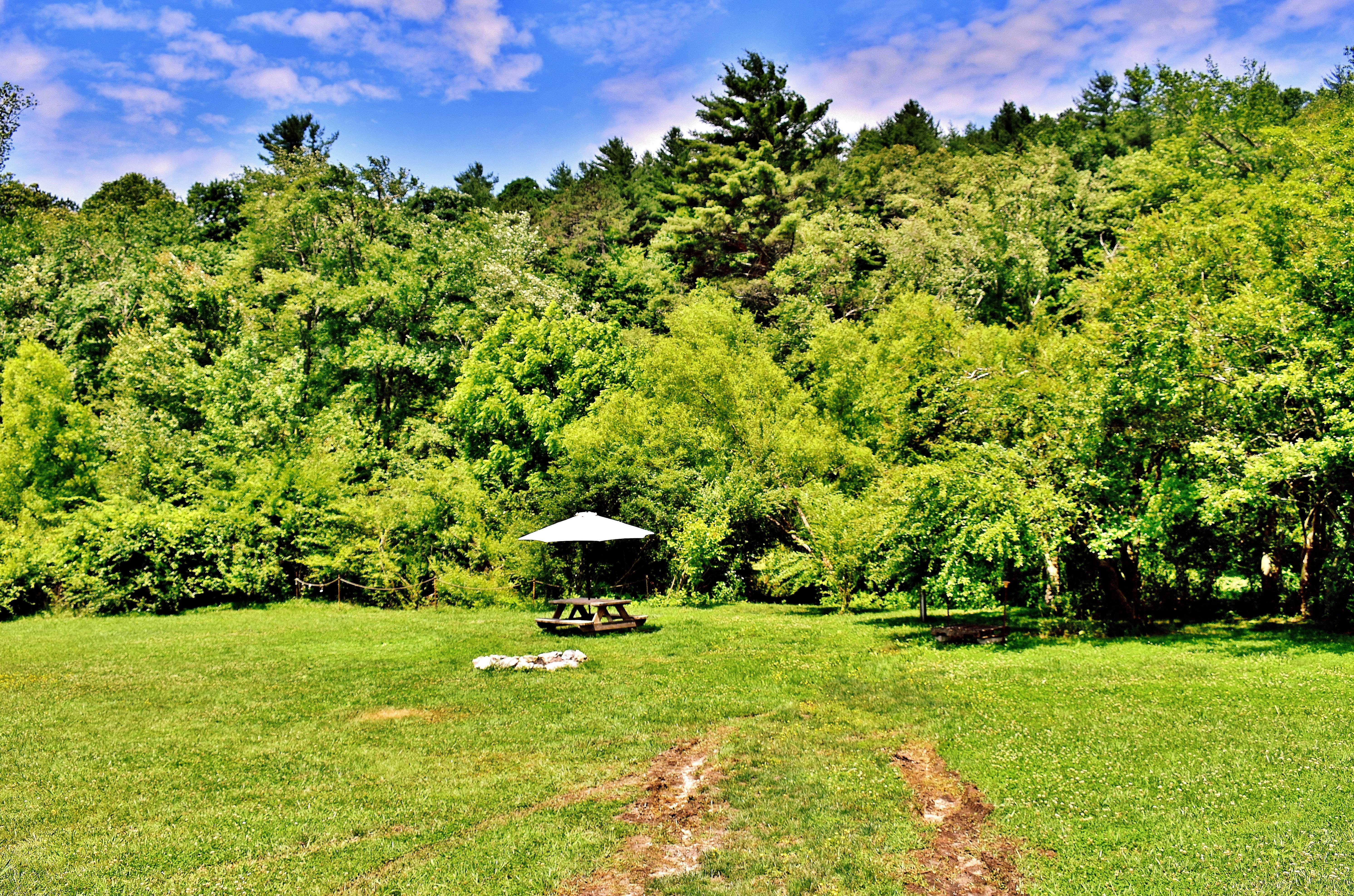 Camper submitted image from Pisgah Forest Mountain Meadows - 2