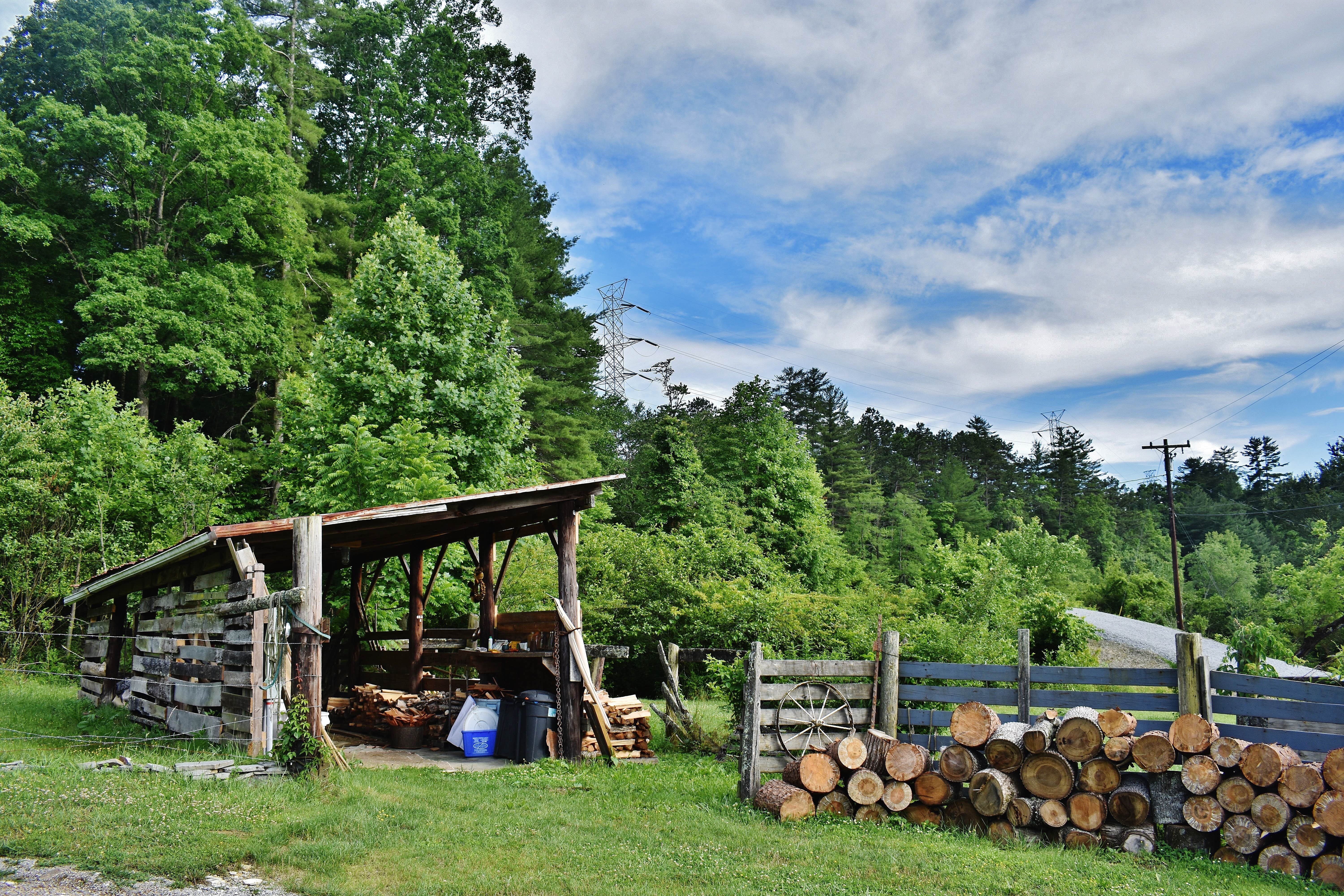 Camper submitted image from Pisgah Forest Mountain Meadows - 1