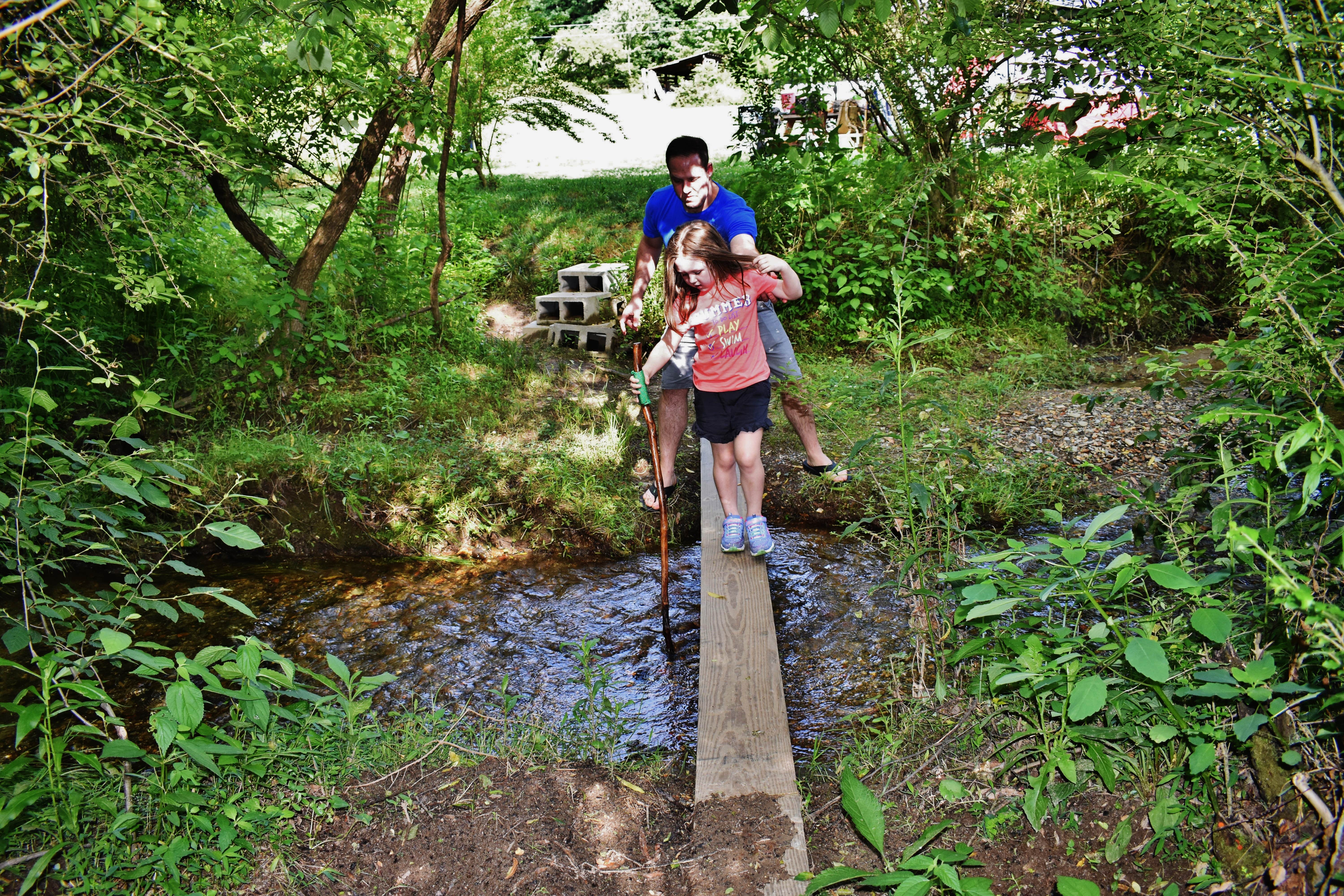 Camper submitted image from Pisgah Forest Mountain Meadows - 5