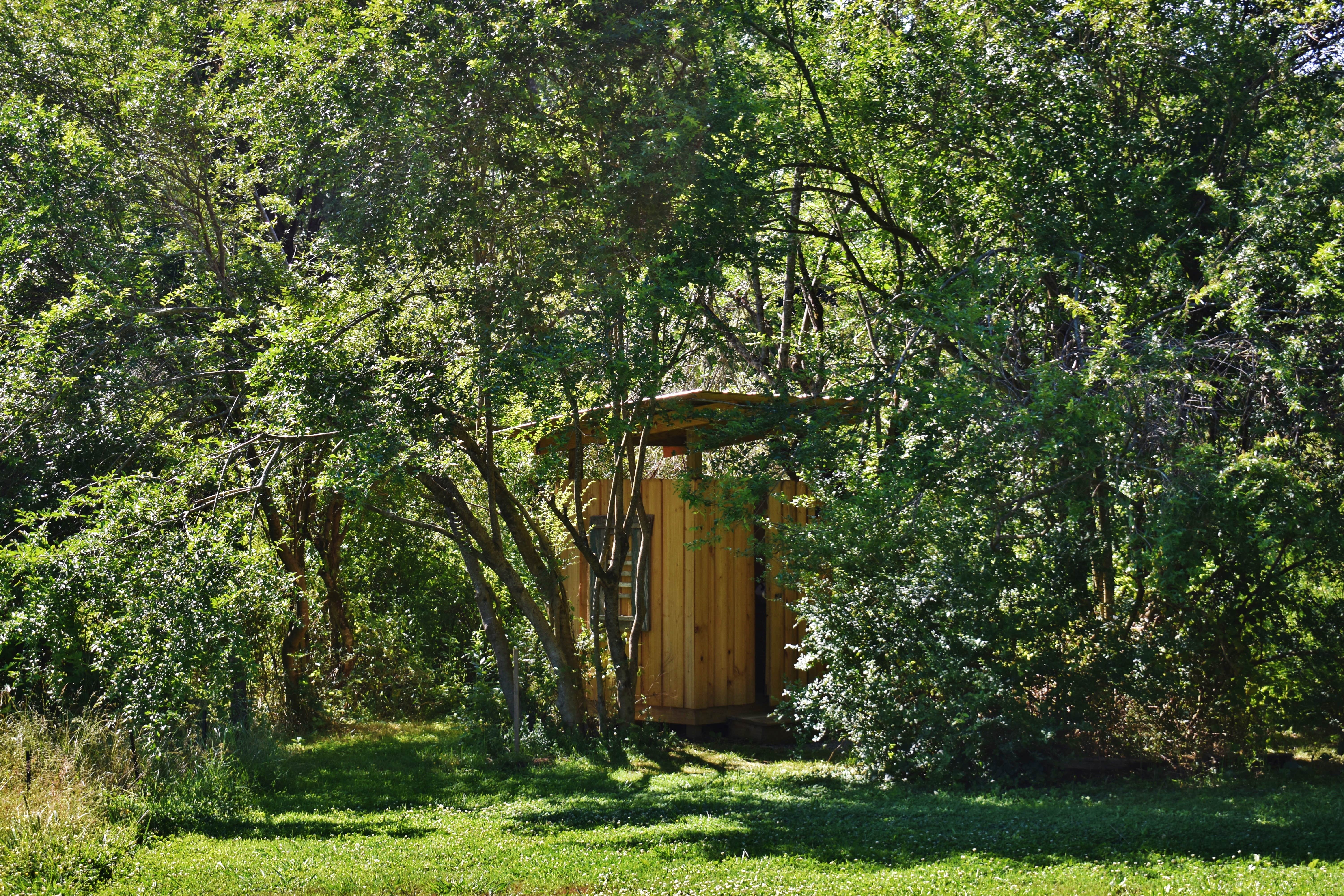 Camper submitted image from Pisgah Forest Mountain Meadows - 3