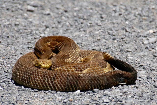 Camper-submitted photo at Upper Campground — Kettle Creek State Park near North Bend, PA