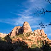 Review photo of La Verkin Creek Trail Campsites — Zion National Park by Billy B., August 30, 2016