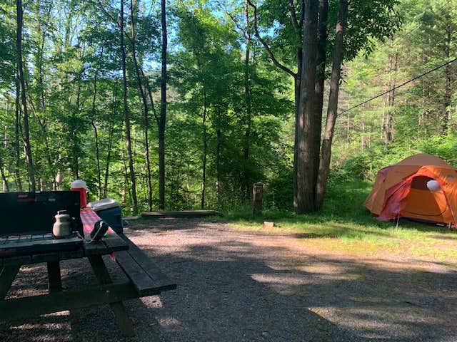 Camper submitted image from Upper Campground — Kettle Creek State Park - 3