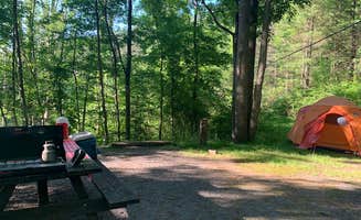 Mary H.'s photo at Upper Campground — Kettle Creek State Park near Weedville, PA