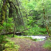 Review photo of Still Creek by Shannon C., September 1, 2016