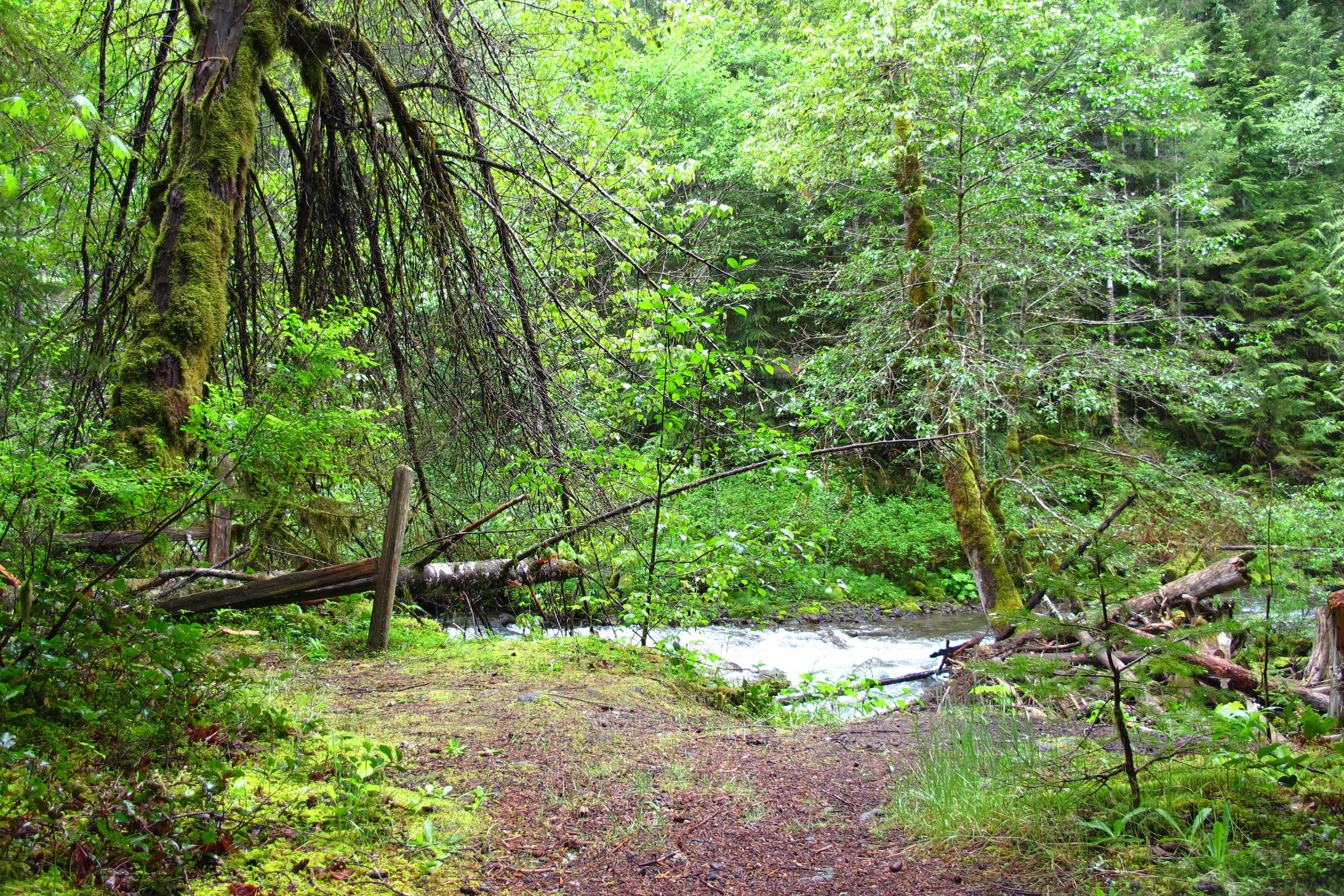 Camper submitted image from Still Creek - 2