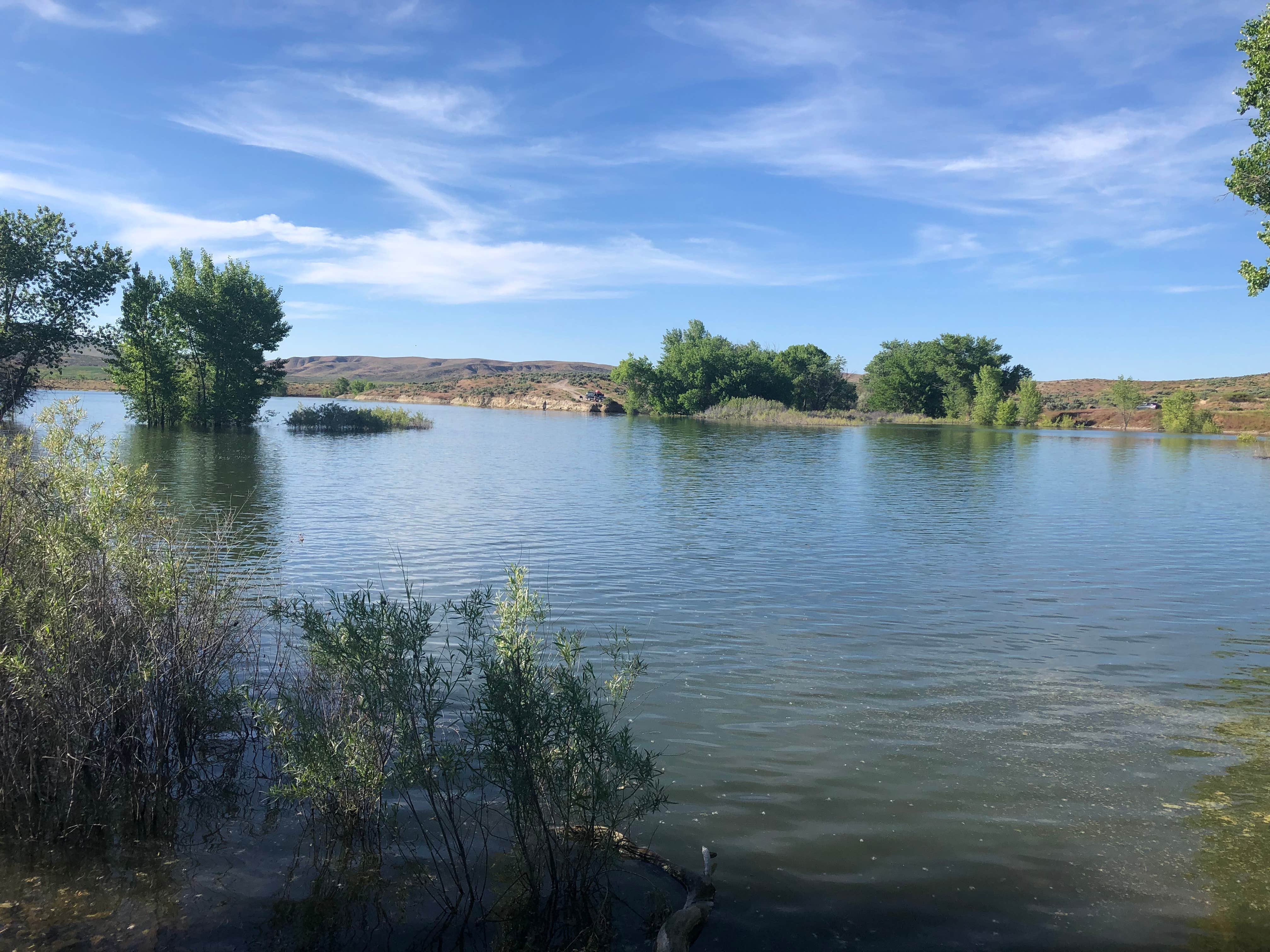 Camper submitted image from Bully Creek Reservoir County Park - 1