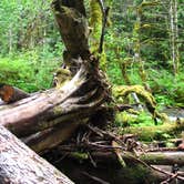 Review photo of Still Creek by Shannon C., September 1, 2016